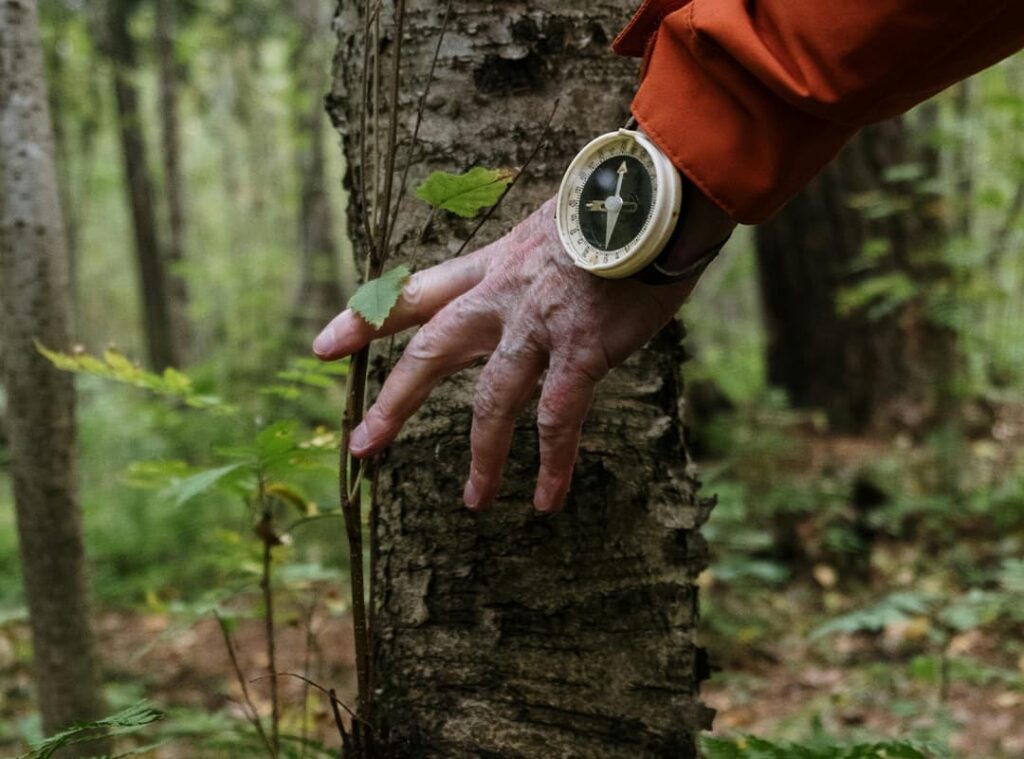 JWOC 2015: An unforgettable adventure in the world of orienteering
